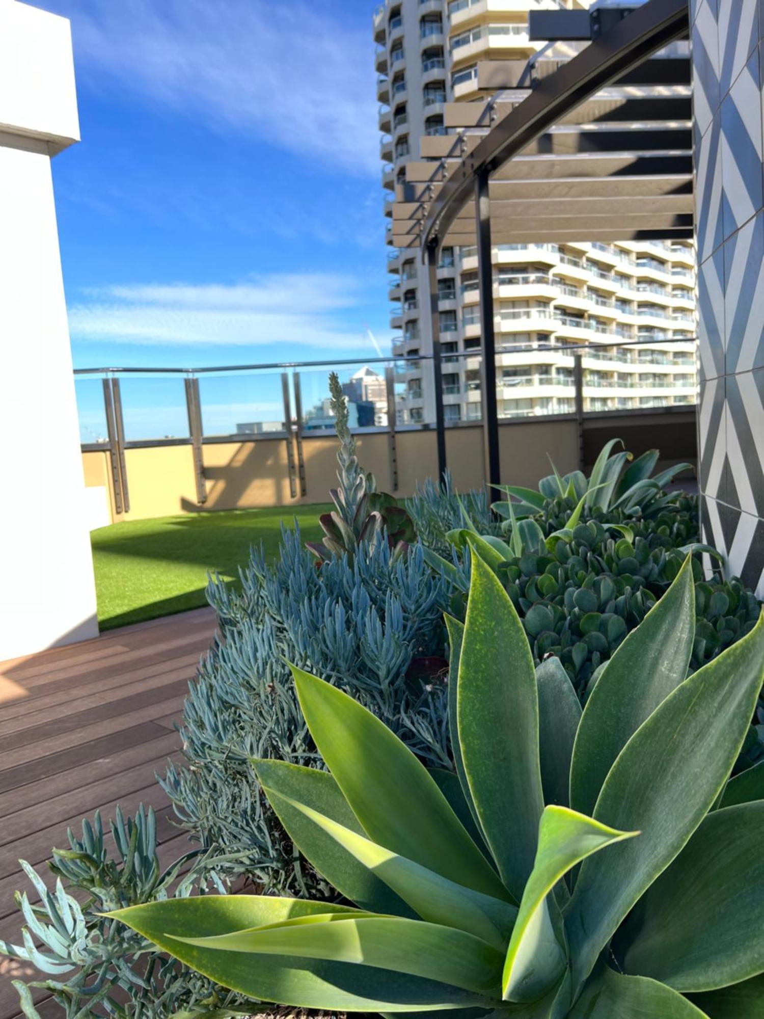 Sydney Hyde Park Private Apartments By Paxsafe Sidney Exterior foto